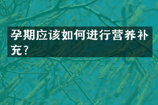 孕期应该如何进行营养补充？