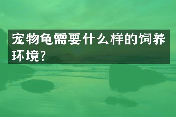 宠物龟需要什么样的饲养环境？