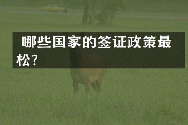  哪些国家的签证政策最宽松？