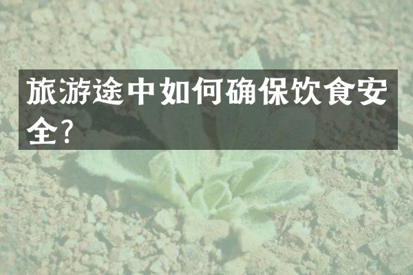 旅游途中如何确保饮食安全？