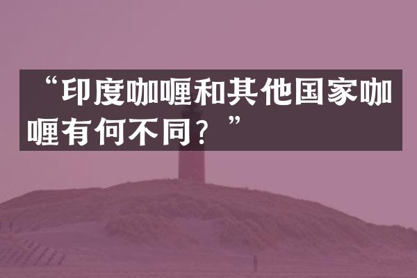 &ldquo;印度咖喱和其他国家咖喱有何不同？&rdquo;
