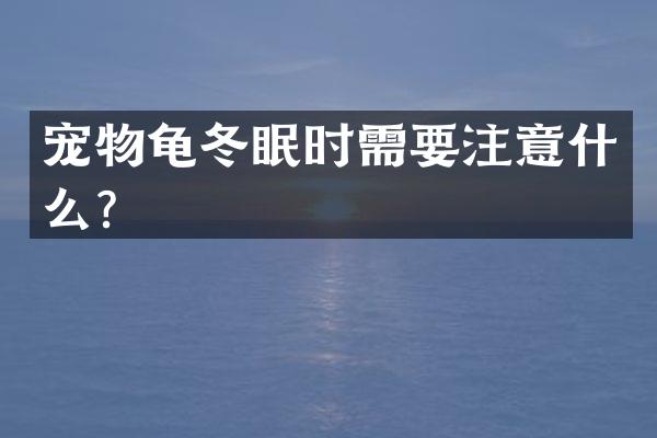 宠物龟冬眠时需要注意什么？
