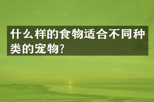 什么样的食物适合不同种类的宠物？