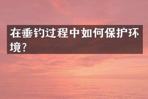 在垂钓过程中如何保护环境？