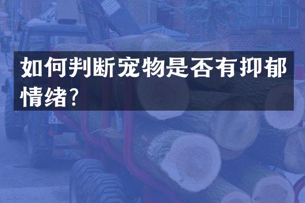 如何判断宠物是否有抑郁情绪？