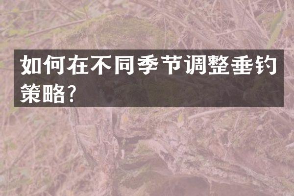 如何在不同季节调整垂钓策略？