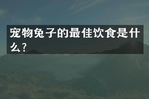 宠物兔子的最佳饮食是什么？