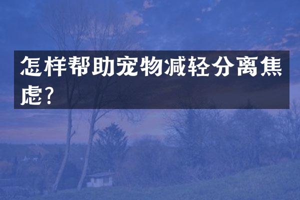 怎样帮助宠物减轻分离焦虑？
