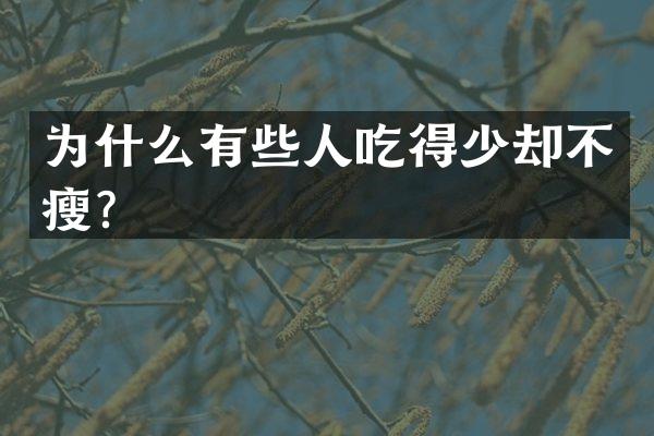为什么有些人吃得少却不瘦？
