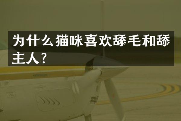 为什么猫咪喜欢舔毛和舔主人？