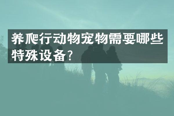养爬行动物宠物需要哪些特殊设备？