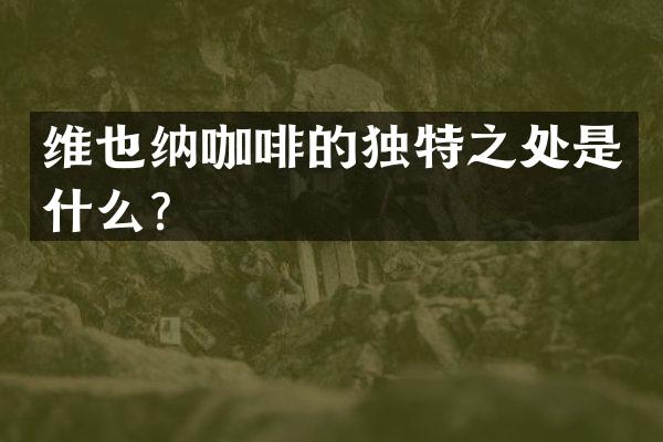 维也纳咖啡的独特之处是什么？