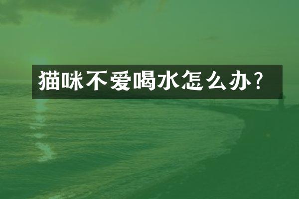 猫咪不爱喝水怎么办？