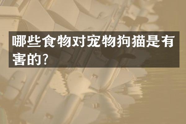 哪些食物对宠物狗猫是有害的？