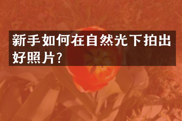 新手如何在自然光下拍出好照片？