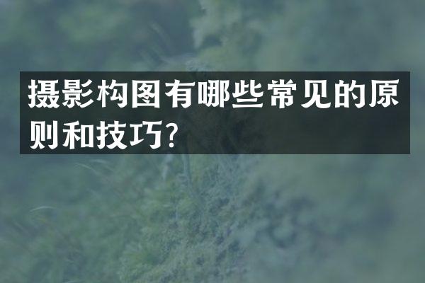 摄影构图有哪些常见的原则和技巧？