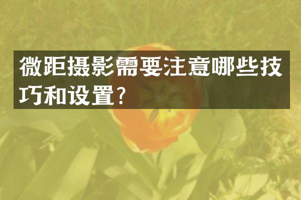 微距摄影需要注意哪些技巧和设置？