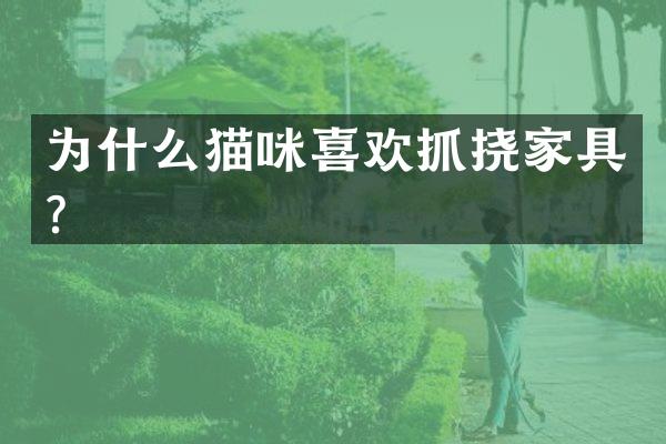 为什么猫咪喜欢抓挠家具？