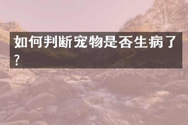 如何判断宠物是否生病了？