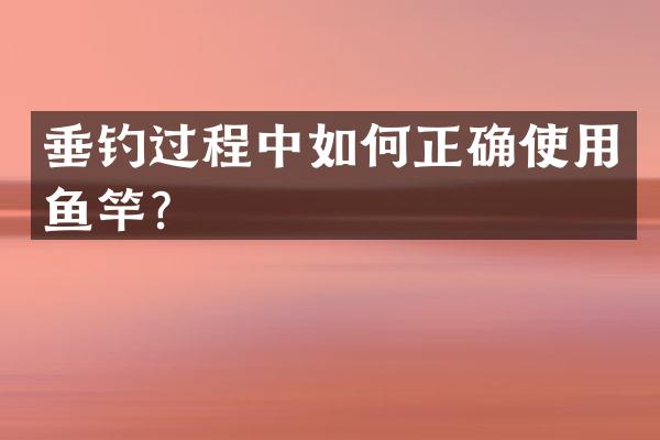 垂钓过程中如何正确使用鱼竿？