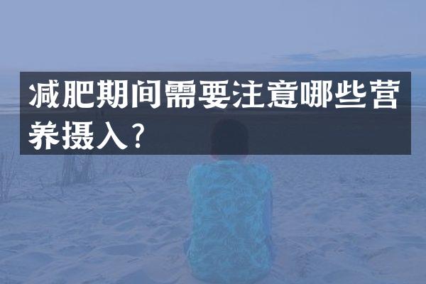 减肥期间需要注意哪些营养摄入？