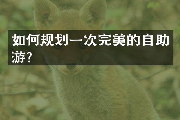 如何规划一次完美的自助游？