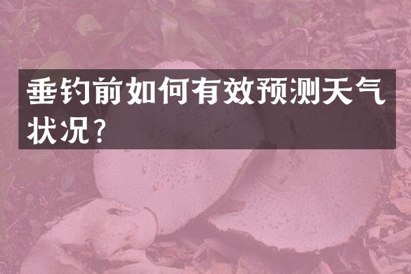 垂钓前如何有效预测天气状况？