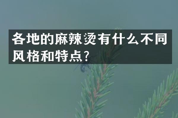 各地的麻辣烫有什么不同风格和特点？