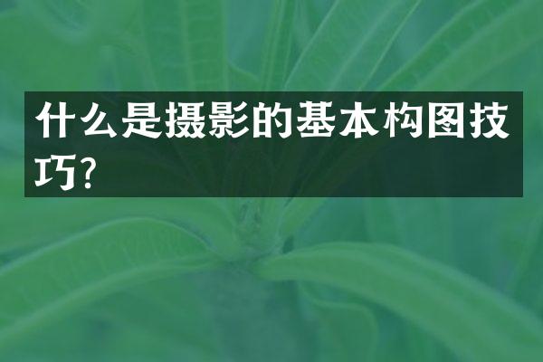 什么是摄影的基本构图技巧？
