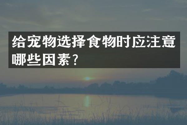 给宠物选择食物时应注意哪些因素？