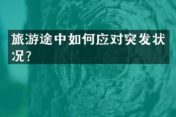 旅游途中如何应对突发状况？