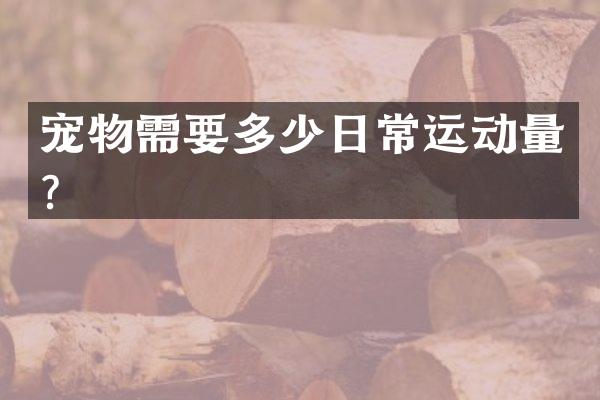 宠物需要多少日常运动量？