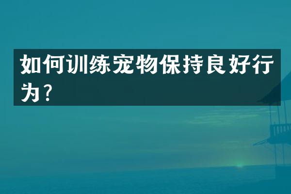 如何训练宠物保持良好行为？
