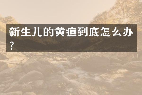新生儿的黄疸到底怎么办？