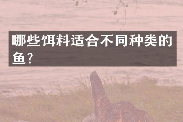 哪些饵料适合不同种类的鱼？