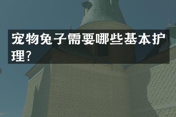 宠物兔子需要哪些基本护理？