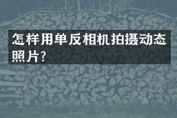 怎样用单反相机拍摄动态照片？