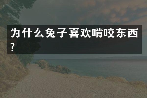 为什么兔子喜欢啃咬东西？