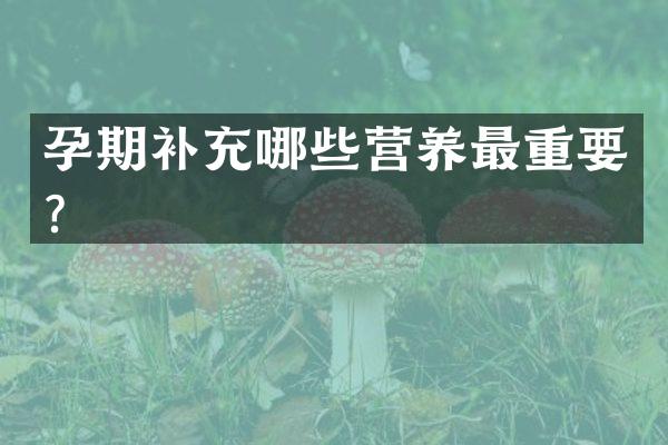 孕期补充哪些营养最重要？