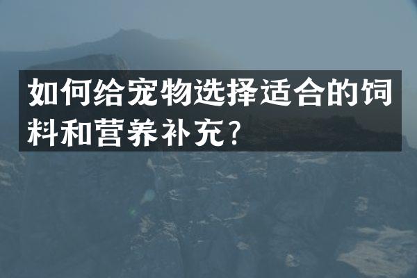 如何给宠物选择适合的饲料和营养补充？