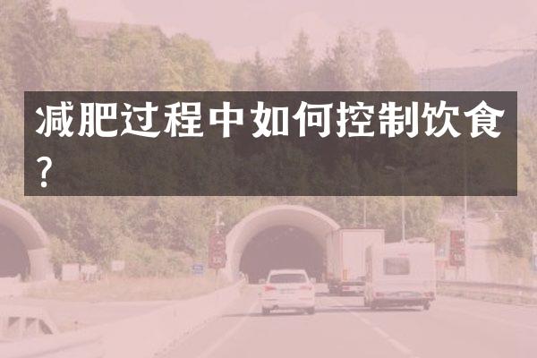 减肥过程中如何控制饮食？