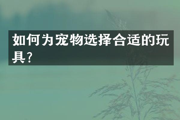 如何为宠物选择合适的玩具？