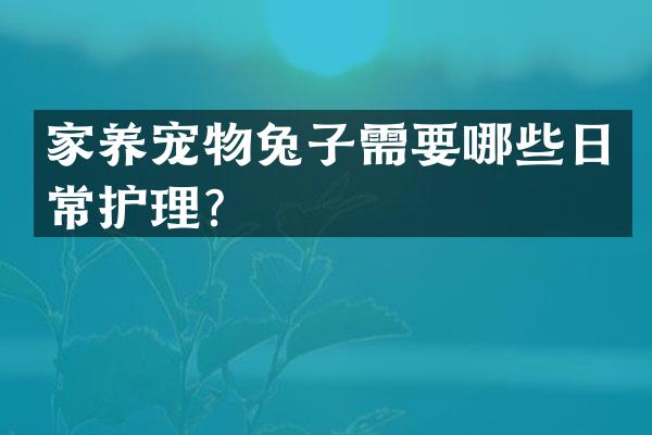 家养宠物兔子需要哪些日常护理？