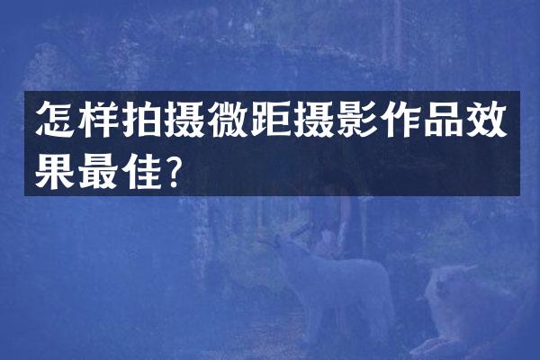 怎样拍摄微距摄影作品效果最佳？