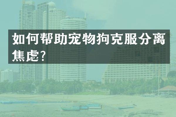 如何帮助宠物狗克服分离焦虑？