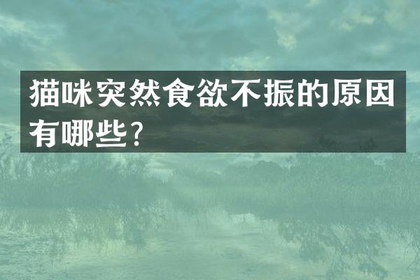 猫咪突然食欲不振的原因有哪些？