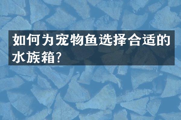 如何为宠物鱼选择合适的水族箱？