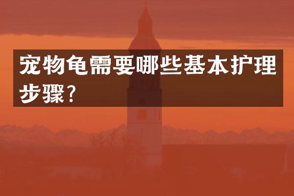 宠物龟需要哪些基本护理步骤？