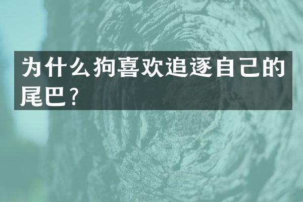 为什么狗喜欢追逐自己的尾巴？