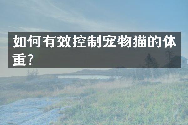 如何有效控制宠物猫的体重？